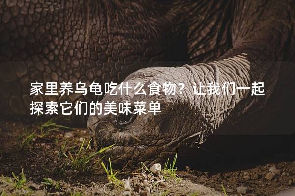 家里养乌龟吃什么食物？让我们一起探索它们的美味菜单