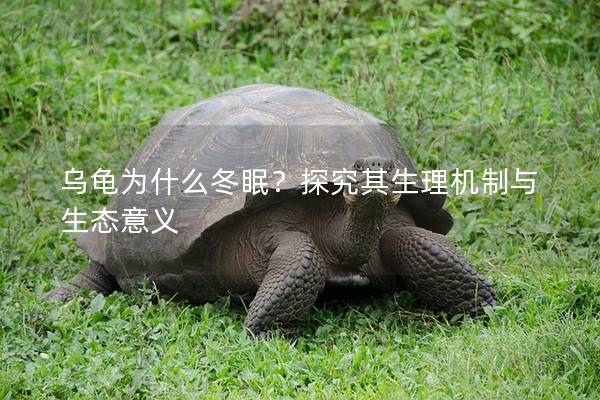 乌龟为什么冬眠？探究其生理机制与生态意义