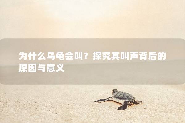 为什么乌龟会叫？探究其叫声背后的原因与意义