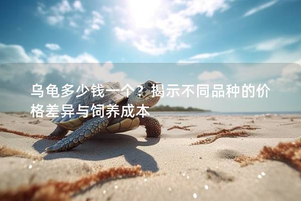 乌龟多少钱一个？揭示不同品种的价格差异与饲养成本