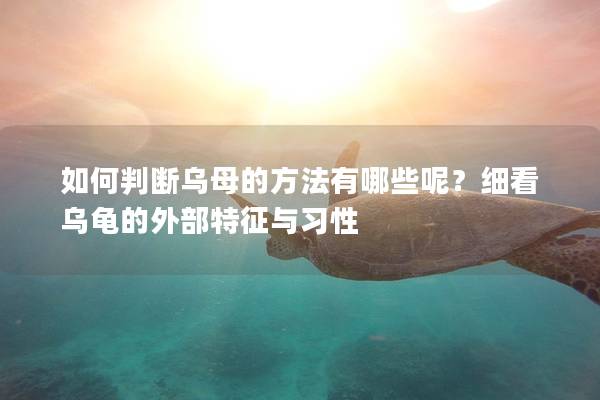 如何判断乌母的方法有哪些呢？细看乌龟的外部特征与习性