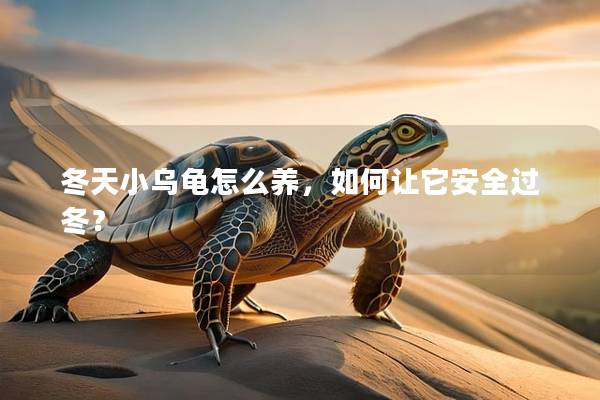 冬天小乌龟怎么养，如何让它安全过冬？