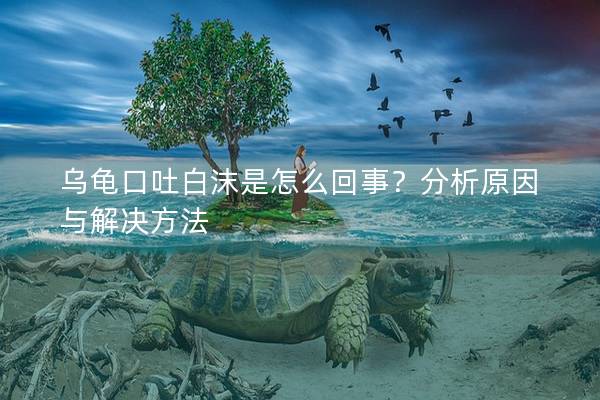 乌龟口吐白沫是怎么回事？分析原因与解决方法