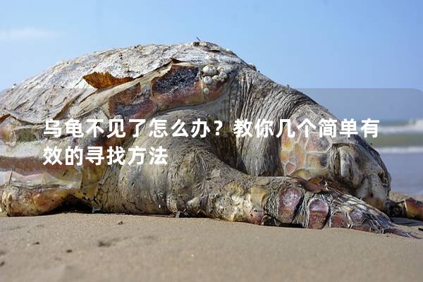 乌龟不见了怎么办？教你几个简单有效的寻找方法