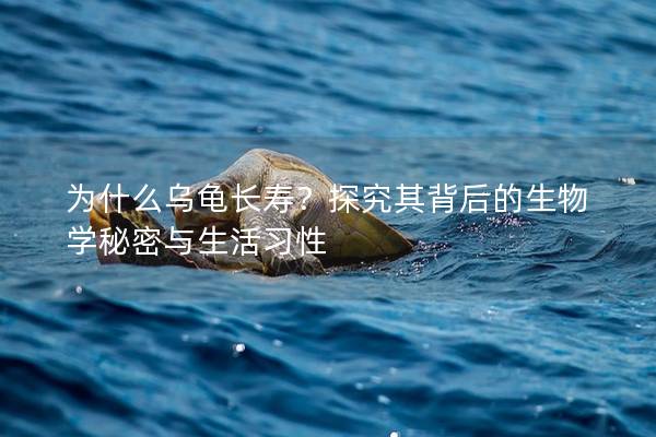 为什么乌龟长寿？探究其背后的生物学秘密与生活习性