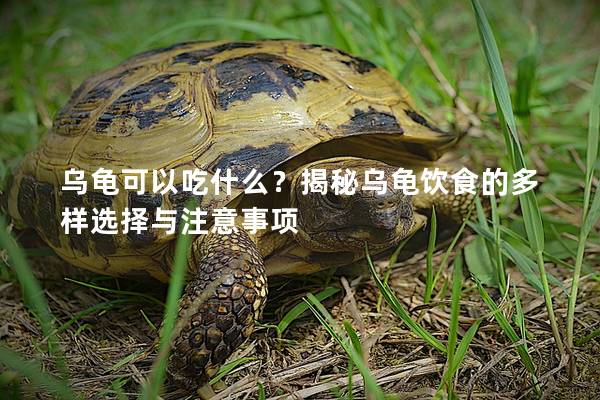 乌龟可以吃什么？揭秘乌龟饮食的多样选择与注意事项