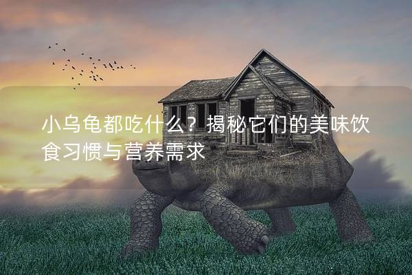 小乌龟都吃什么？揭秘它们的美味饮食习惯与营养需求