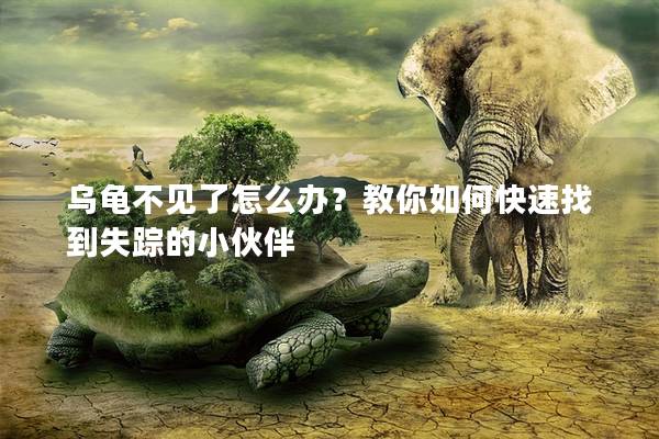 乌龟不见了怎么办？教你如何快速找到失踪的小伙伴