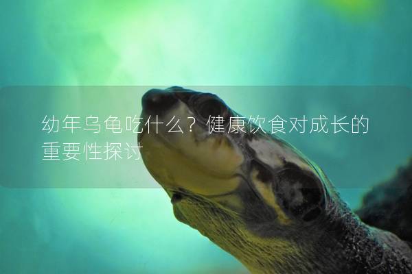 幼年乌龟吃什么？健康饮食对成长的重要性探讨