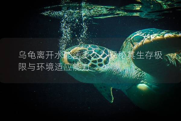 乌龟离开水能活多久？探秘其生存极限与环境适应能力