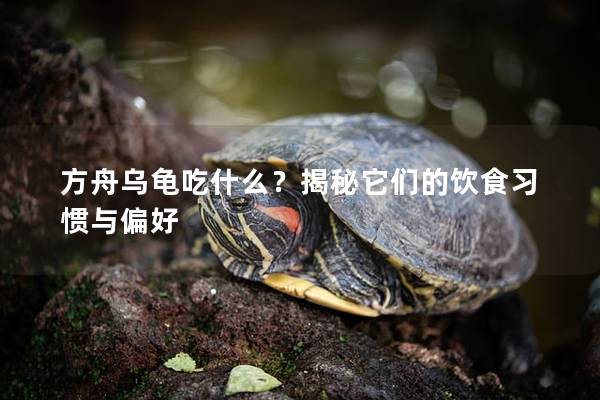 方舟乌龟吃什么？揭秘它们的饮食习惯与偏好