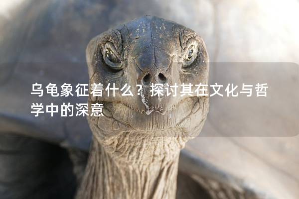 乌龟象征着什么？探讨其在文化与哲学中的深意