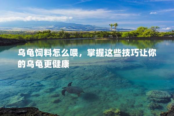 乌龟饲料怎么喂，掌握这些技巧让你的乌龟更健康