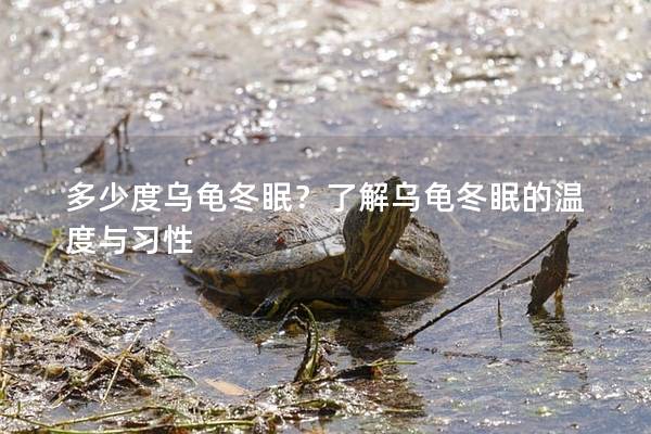 多少度乌龟冬眠？了解乌龟冬眠的温度与习性