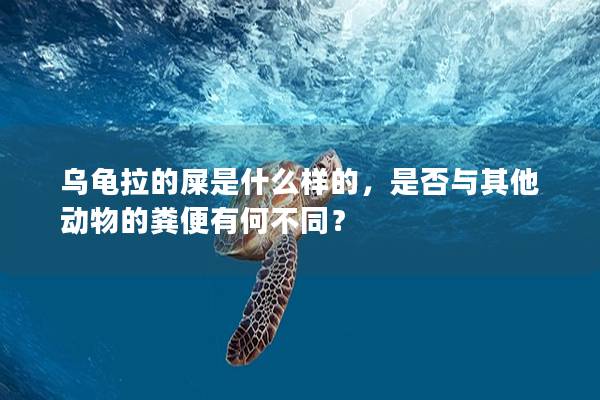 乌龟拉的屎是什么样的，是否与其他动物的粪便有何不同？