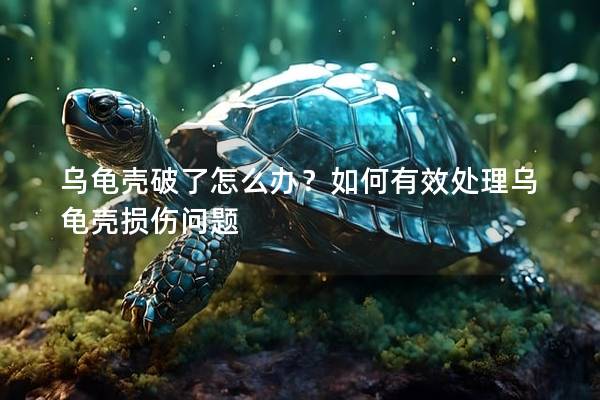 乌龟壳破了怎么办？如何有效处理乌龟壳损伤问题