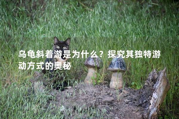 乌龟斜着游是为什么？探究其独特游动方式的奥秘