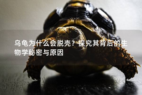乌龟为什么会脱壳？探究其背后的生物学秘密与原因