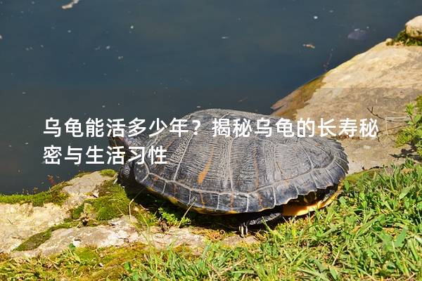 乌龟能活多少年？揭秘乌龟的长寿秘密与生活习性