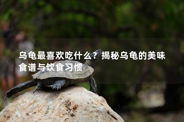 乌龟最喜欢吃什么？揭秘乌龟的美味食谱与饮食习惯