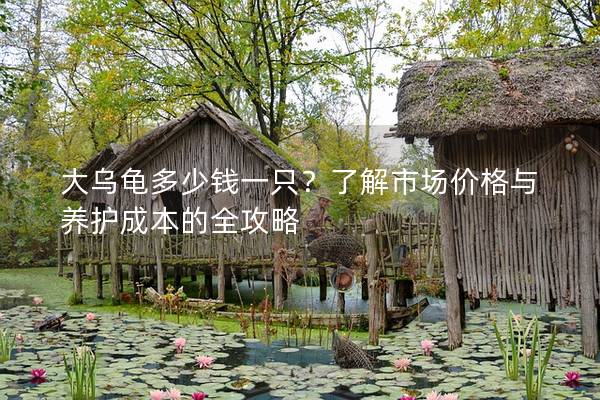 大乌龟多少钱一只？了解市场价格与养护成本的全攻略