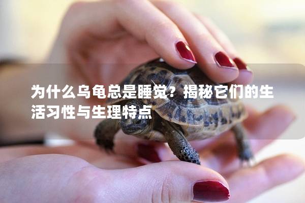 为什么乌龟总是睡觉？揭秘它们的生活习性与生理特点