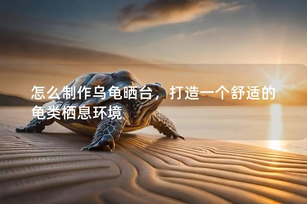 怎么制作乌龟晒台，打造一个舒适的龟类栖息环境