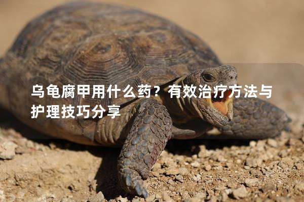 乌龟腐甲用什么药？有效治疗方法与护理技巧分享