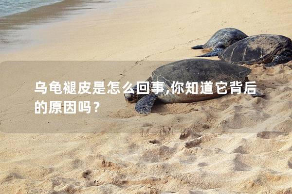 乌龟褪皮是怎么回事,你知道它背后的原因吗？