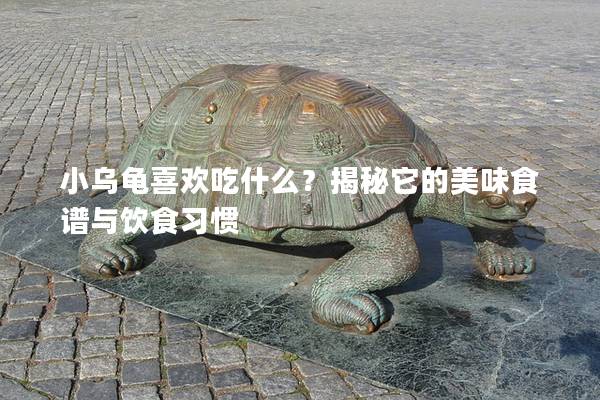 小乌龟喜欢吃什么？揭秘它的美味食谱与饮食习惯
