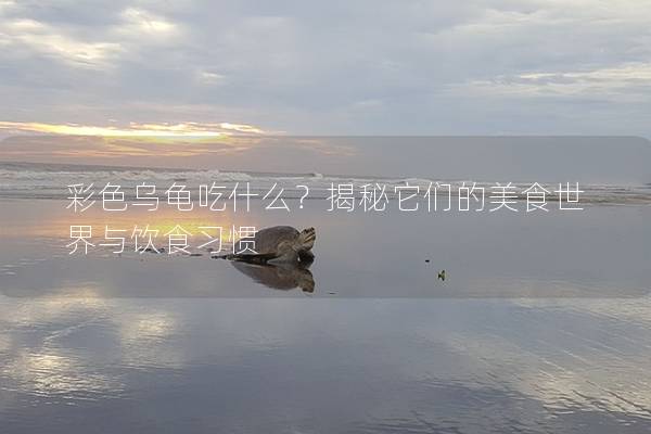 彩色乌龟吃什么？揭秘它们的美食世界与饮食习惯