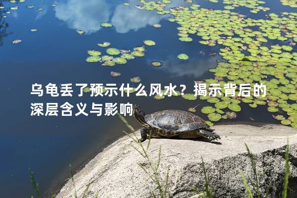 乌龟丢了预示什么风水？揭示背后的深层含义与影响