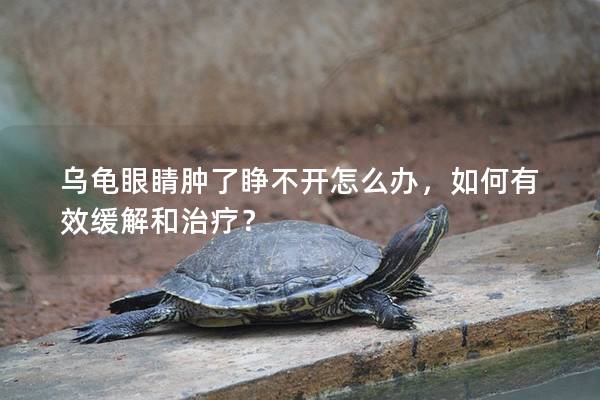 乌龟眼睛肿了睁不开怎么办，如何有效缓解和治疗？