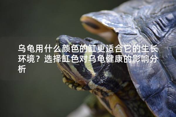 乌龟用什么颜色的缸更适合它的生长环境？选择缸色对乌龟健康的影响分析