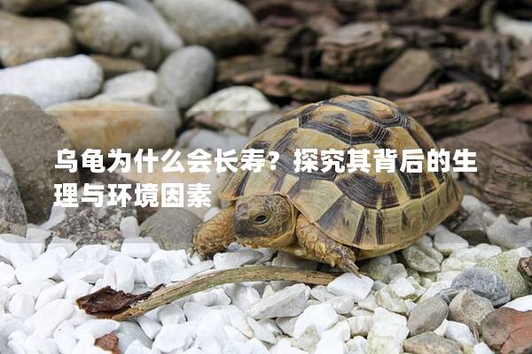 乌龟为什么会长寿？探究其背后的生理与环境因素