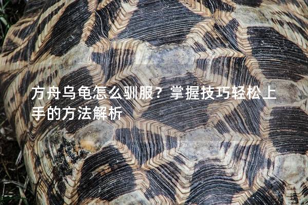 方舟乌龟怎么驯服？掌握技巧轻松上手的方法解析