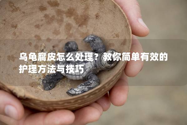 乌龟腐皮怎么处理？教你简单有效的护理方法与技巧