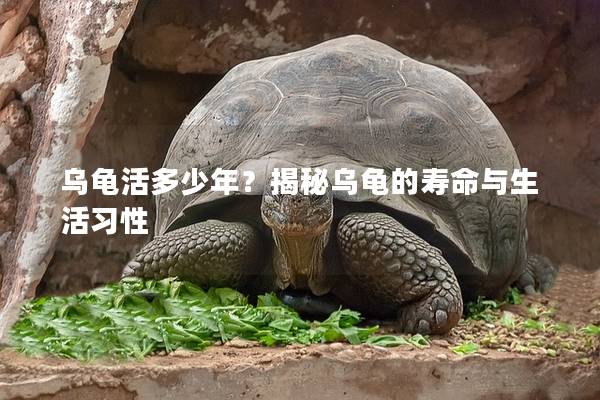 乌龟活多少年？揭秘乌龟的寿命与生活习性