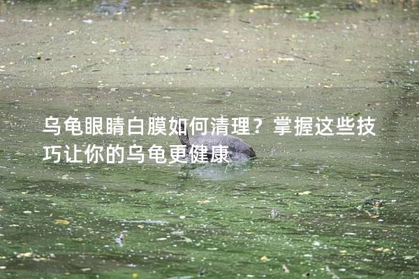 乌龟眼睛白膜如何清理？掌握这些技巧让你的乌龟更健康