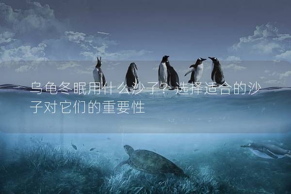 乌龟冬眠用什么沙子？选择适合的沙子对它们的重要性