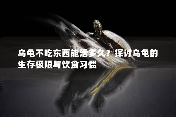 乌龟不吃东西能活多久？探讨乌龟的生存极限与饮食习惯