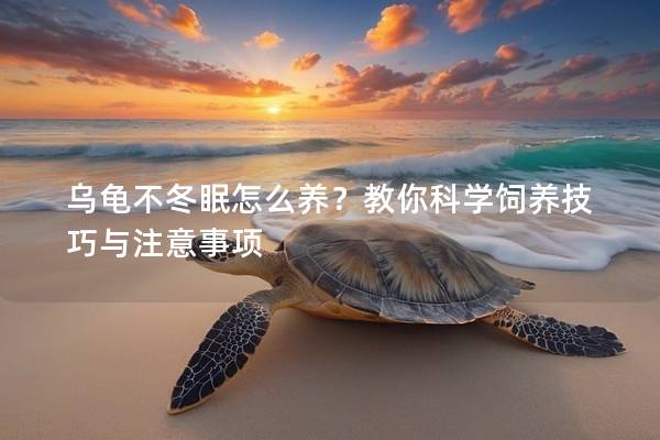 乌龟不冬眠怎么养？教你科学饲养技巧与注意事项
