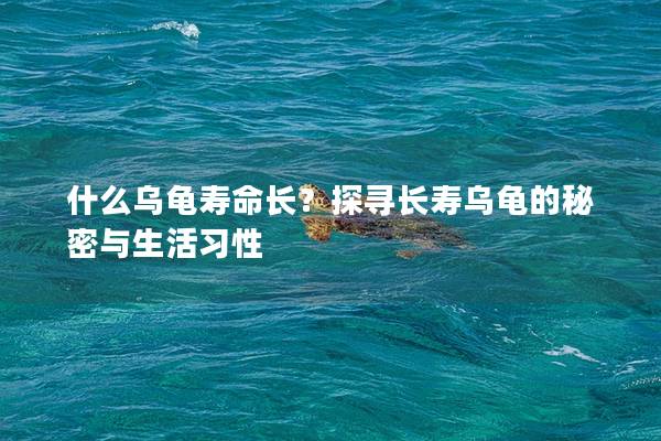 什么乌龟寿命长？探寻长寿乌龟的秘密与生活习性