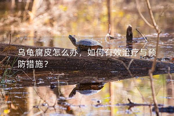 乌龟腐皮怎么办，如何有效治疗与预防措施？