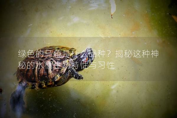 绿色的乌龟是什么品种？揭秘这种神秘的水栖生物特性与习性
