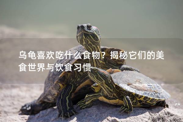 乌龟喜欢吃什么食物？揭秘它们的美食世界与饮食习惯