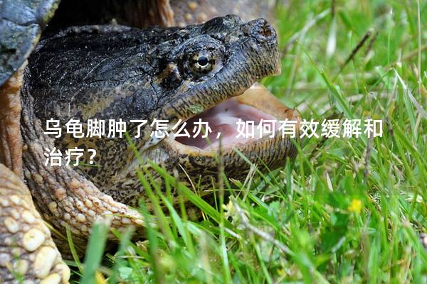 乌龟脚肿了怎么办，如何有效缓解和治疗？