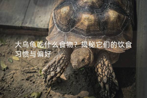 大乌龟吃什么食物？揭秘它们的饮食习惯与偏好