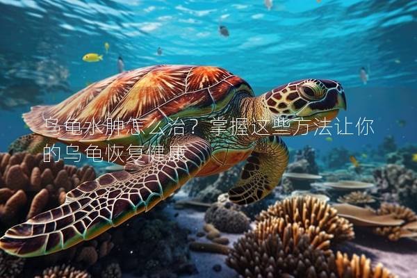 乌龟水肿怎么治？掌握这些方法让你的乌龟恢复健康