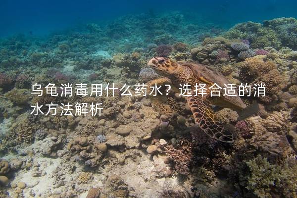 乌龟消毒用什么药水？选择合适的消水方法解析